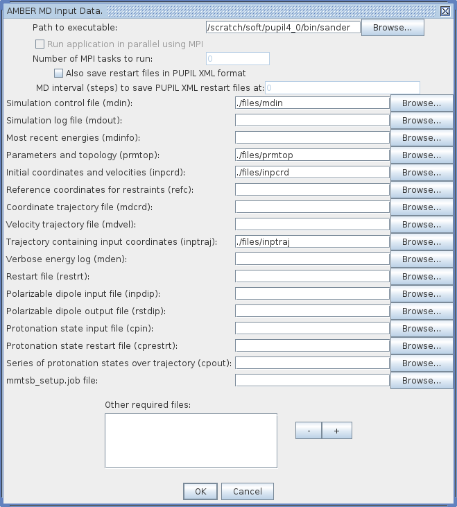 Amber Input Files